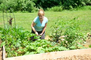 Read more about the article A garden grows at Painters Crossing