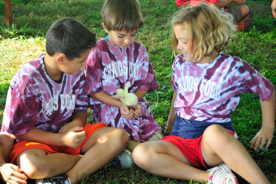 You are currently viewing School kids get ‘fluffy’ education at U’Ville Fair