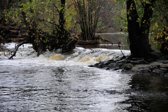 Read more about the article Photo of the Week: Rushing Creek