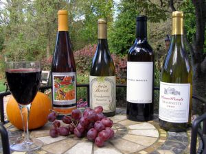 Read more about the article Living History: Wineries of the Brandywine Valley