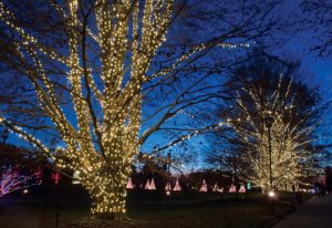 Read more about the article Longwood Christmas