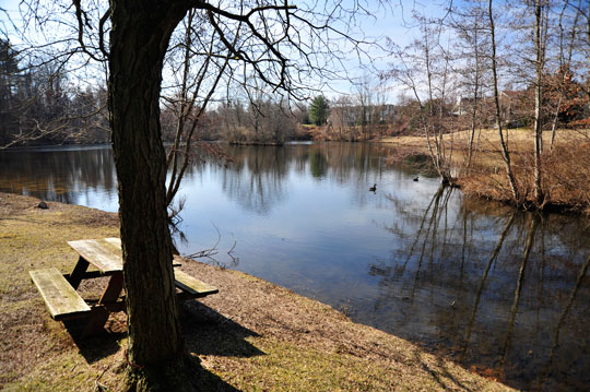 You are currently viewing Photo of the Week: Calm Pond on a Sunny Day