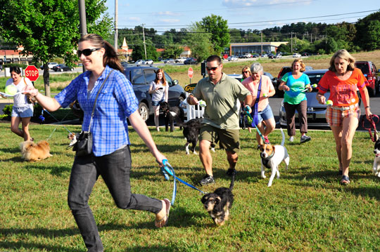 Read more about the article ‘Yappy Hour’ benefits Paws for People