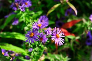 Read more about the article Photo of the Week: Counting Colors