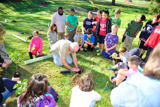 Read more about the article Education and community merge at Hillendale tree planting