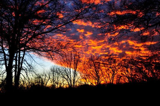 Read more about the article Photo of the Week: Flaming Clouds