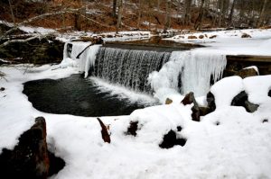 Read more about the article Photo of the Week: Woodlawn Falls