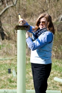 Brandywine Conservancy and Museum of Art Executive Director Virginia Logan takes to the field to help plant trees.