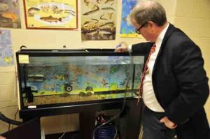 School Principal Andrew McLaughlin siphons water from the fish tank where the fingerlings developed.