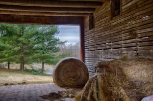 Read more about the article Photo of the Week: The Back Barn