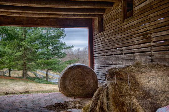 You are currently viewing Photo of the Week: The Back Barn
