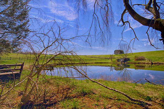 You are currently viewing Photo of the Week: Springhouse Pond under Blue Skies