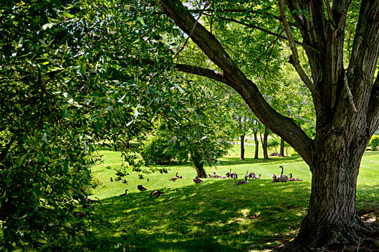 You are currently viewing Photo of the Week: Sunday Picnic