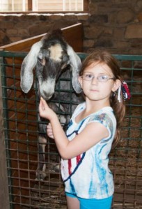Alannah feeding a goat. According to a volunteer who's been working with her, feeding the goats has helped Alannah learned to interact with people.