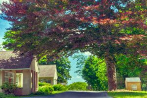 Read more about the article Photo of the Week: Pennsbury Arch