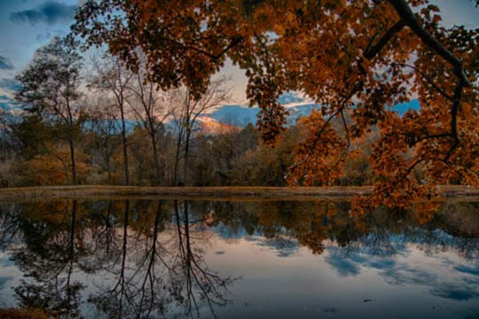 Read more about the article Photo of the Week: Autumn Eve