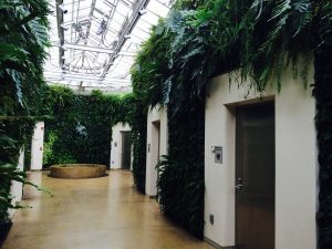 Longwood's Green Wall houses a row of energy efficient restrooms.