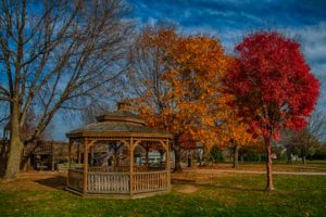Read more about the article Photo of the Week: Gazebo