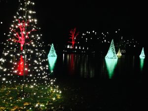 Outdoors, lighted trees reflect on the one of the ponds.