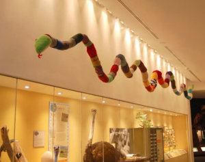 Sharon Silverman will discuss the creation of Yarnboa, on display at the Delaware Museum of Natural History.