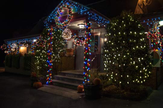 Read more about the article Photo of the Week: Christmas at Hank’s Place
