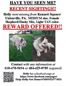 Nancy Gwinner has distributed dozens of fliers seeking the public's help to find her lost dog.