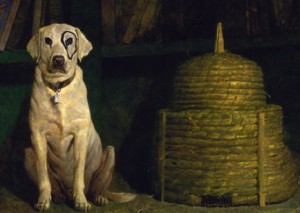 'Kleberg,' named for the dog who once belonged to the owner of the King Ranch in Texas, received an eye embellishment from Jamie Wyeth that was subsequently memorialized in this 1984 painting. Photo courtesy of Brandywine River Museum.