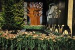 The 2015 Philadelphia Flower Show promises to dazzle visitors with its silver screen theme.