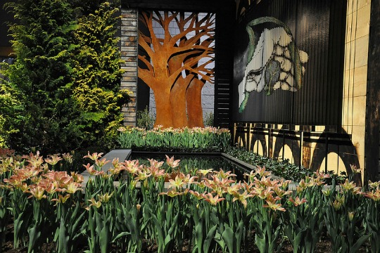 Read more about the article Phila. Flower Show to bloom in reel time