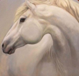 White Horse in Snow by Mamie Duff