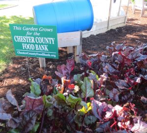 Garden beds outside the Charles F. Patton Middle School are one of the initiatives that led to a U.S. Green Ribbon Schools award.