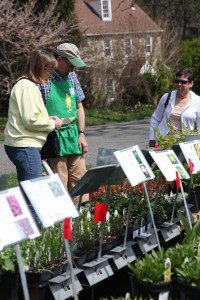 Proceeds from Tyler Arboretum's annual plant sale will benefit its many programs.