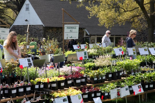 Read more about the article As weather warms, plant sale to take root