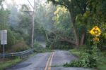 _1JF3135-Ring-Road