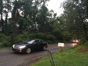 Motorists attempt to navigate Oakland Road in Chadds Ford Township, where fallen  trees took down power lines.  
