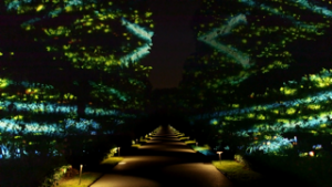 A walk down Flower Garden Drive immerses Nightscape guests into a whirl of colorful patterns. Photo courtesy of Klip Collective