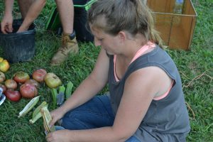 Alexis Grieco, Victory's executive assistant to retail operations, demonstrates how to collect okra seeds.