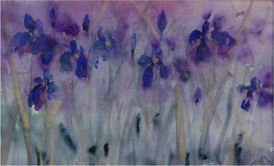 Iris Garden by Sally Wilson