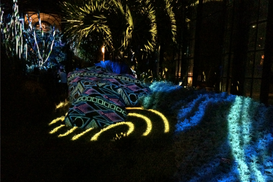 Cacti take on an otherworldly appearance during Longwood Gardens' 'Nightscape' display in the Silver Garden.