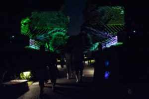 Visitors are enveloped by sound and color as they traverse Longwood's Flower Garden Drive during 'Nightscape'