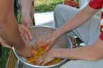 Too blemished for eating, these tomatoes are ripe for squishing as a group of teens extracts the seeds for next year's crop at Victory Brewing Company's organic garden in Parkesburg.