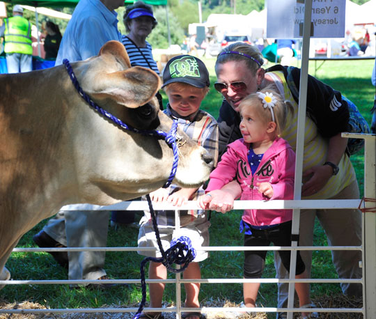Read more about the article A weekend of fun in Chadds Ford