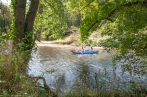 Read more about the article Photo of the Week: Autumn Cruise