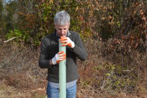 Thomas Padon, checks the protective plastic sleeve that will prevent damage to the sapling from rodents and deer.