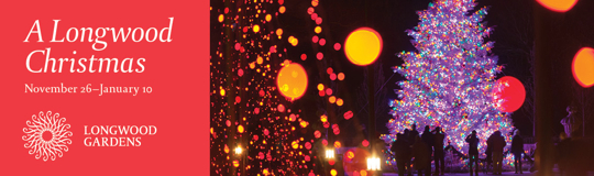 A Longwood Christmas Opens