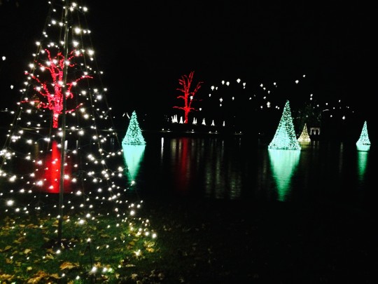 You are currently viewing ‘A Longwood Christmas’ to open Nov. 26