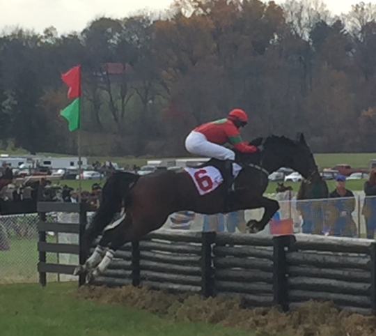 You are currently viewing Postcards from the Pennsylvania Hunt Cup