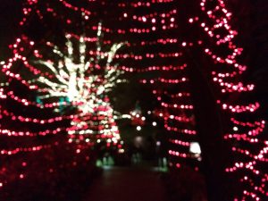 Outside at Longwood Gardens, a half million lights lend a festive air to the grounds.