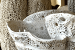 Jill Beech coral forms