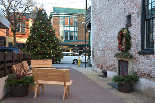 You are currently viewing Kennett Square urges ‘meet me by the tree’